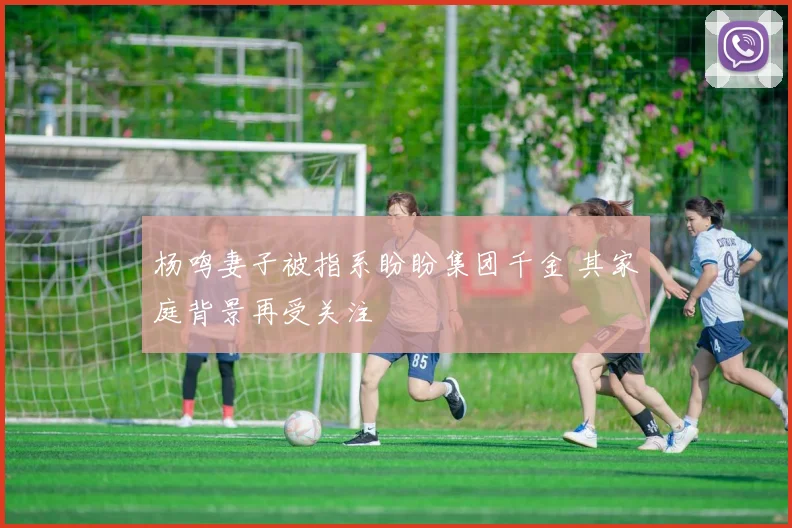 杨鸣妻子被指系盼盼集团千金 其家庭背景再受关注