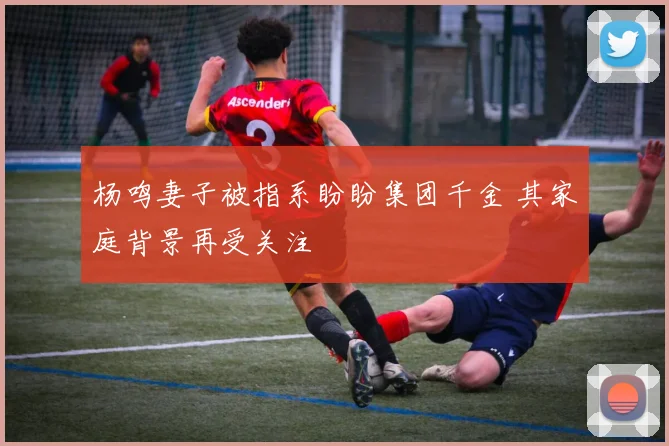 杨鸣妻子被指系盼盼集团千金 其家庭背景再受关注