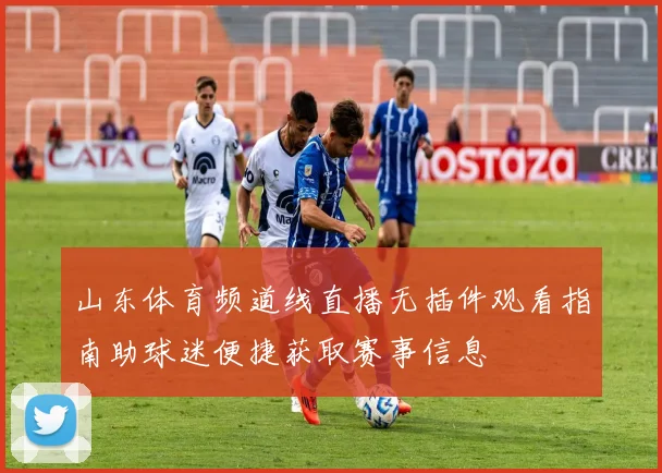山东体育频道线直播无插件观看指南助球迷便捷获取赛事信息