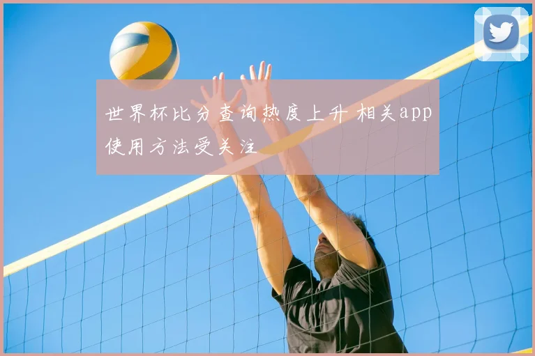 世界杯比分查询热度上升 相关app使用方法受关注